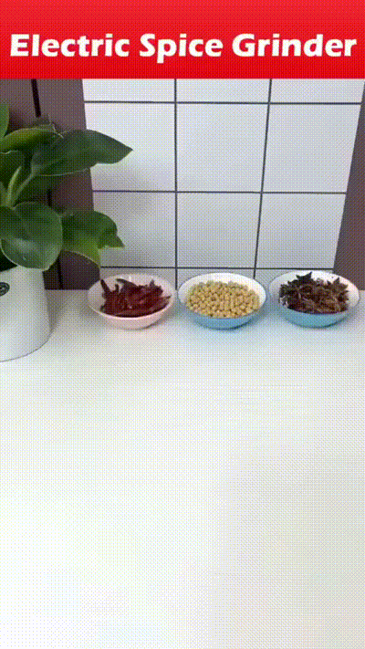 Powerful Multifunctional Electric Masala Grinder  Durable Stainless Steel Spice & Herb Blender